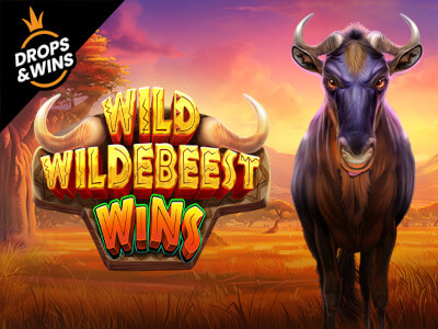 Winmi.com jogo